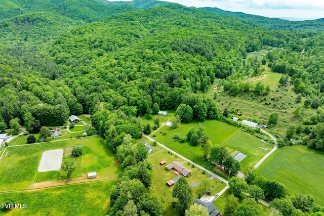 1867 Gentry Creek Rd, Laurel Bloomery, TN 37680 - photo 46