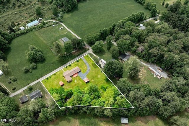 1867 Gentry Creek Rd, Laurel Bloomery, TN 37680 - photo 48