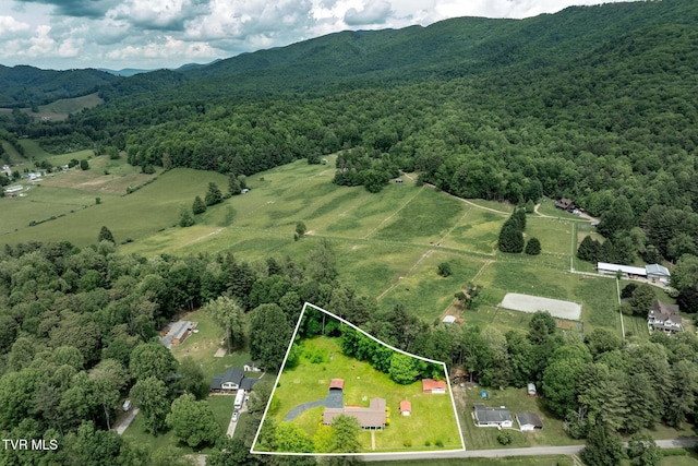 1867 Gentry Creek Rd, Laurel Bloomery, TN 37680 - photo 49