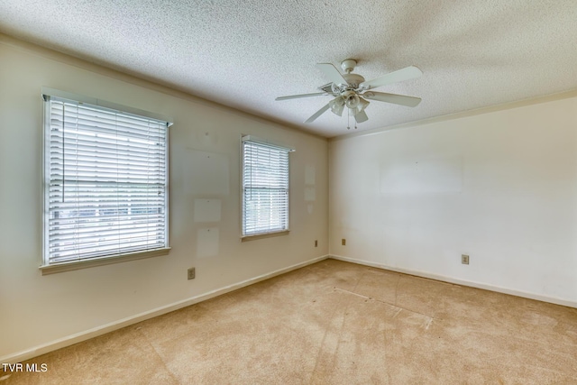 3510 Bondwood Cir, Johnson City, TN 37604 - carpeted spare room featuring a ceiling fan, a textured ceiling, and baseboards