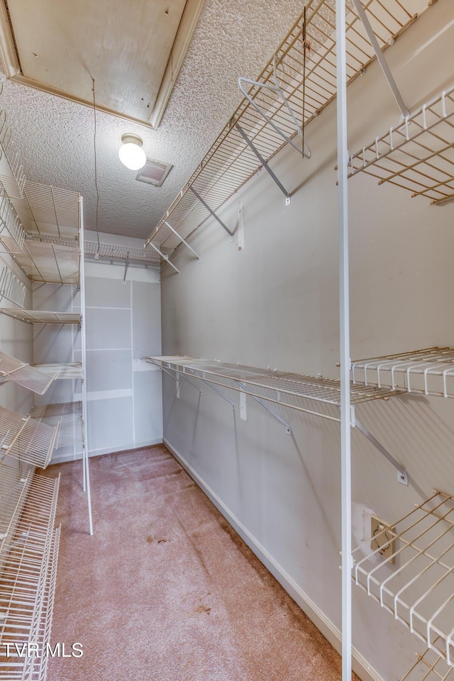 3510 Bondwood Cir, Johnson City, TN 37604 - walk in closet featuring carpet