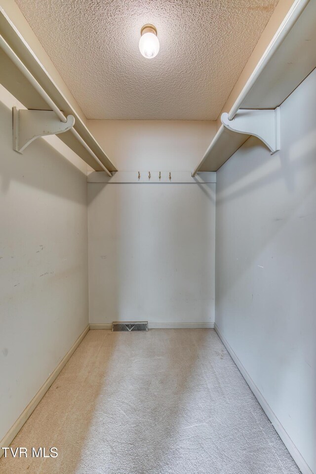 3510 Bondwood Cir, Johnson City, TN 37604 - spacious closet featuring carpet floors