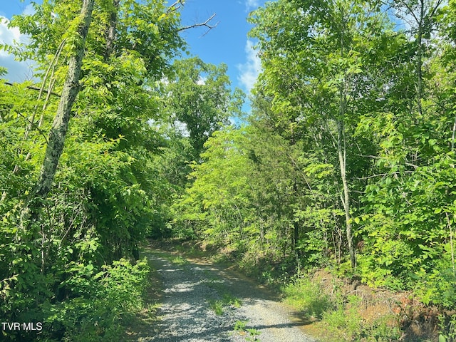 168 Buzzard Roost Rd, Bulls Gap, TN 37711