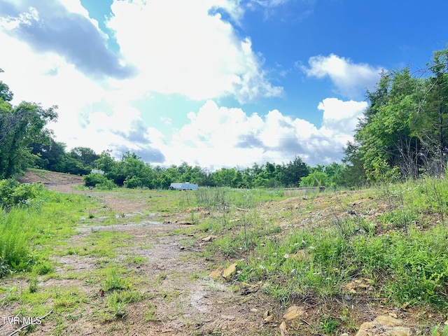 168 Buzzard Roost Rd, Bulls Gap, TN 37711