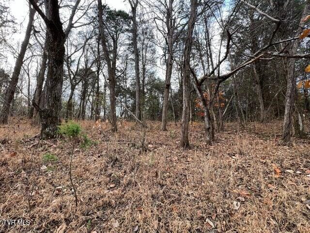 168 Buzzard Roost Rd, Bulls Gap, TN 37711
