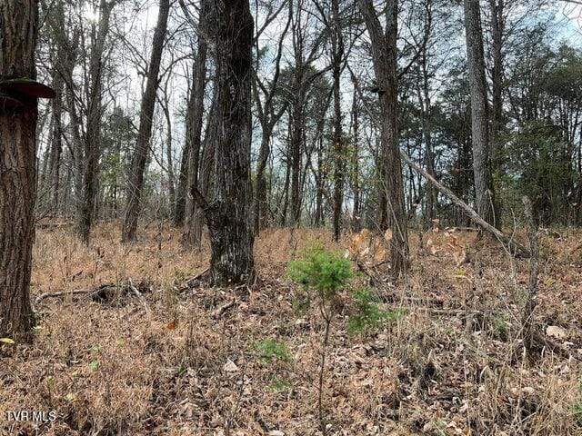 168 Buzzard Roost Rd, Bulls Gap, TN 37711