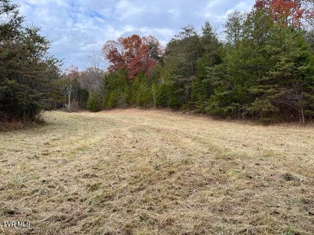168 Buzzard Roost Rd, Bulls Gap, TN 37711