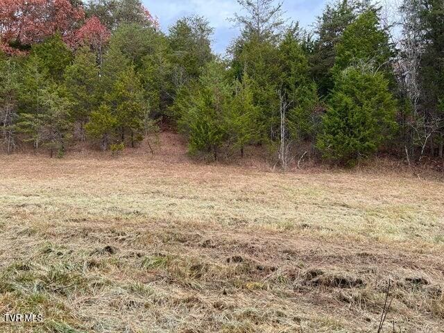 168 Buzzard Roost Rd, Bulls Gap, TN 37711