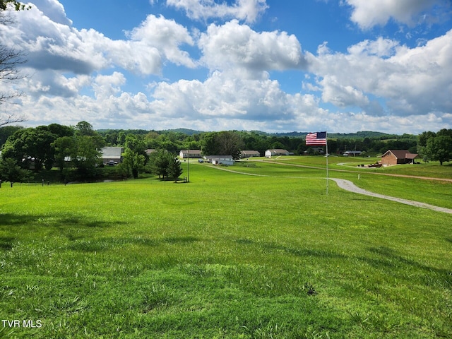 7083 Saint Clair Rd, Whitesburg, TN 37891 - view of home's community with a yard