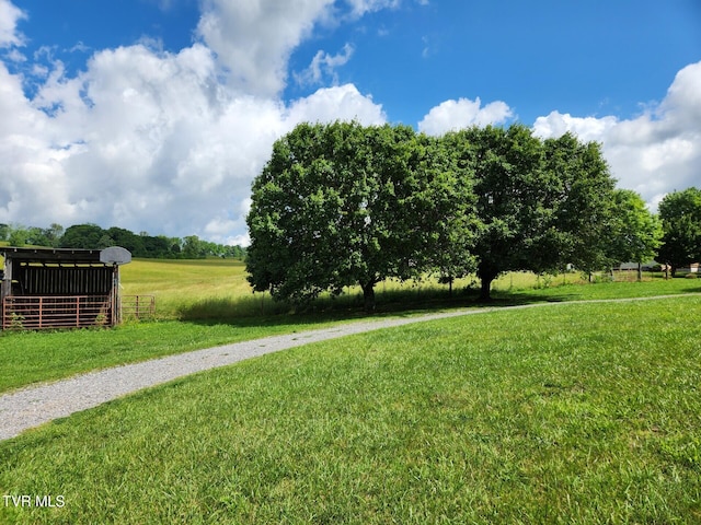 7083 Saint Clair Rd, Whitesburg, TN 37891 - view of green lawn