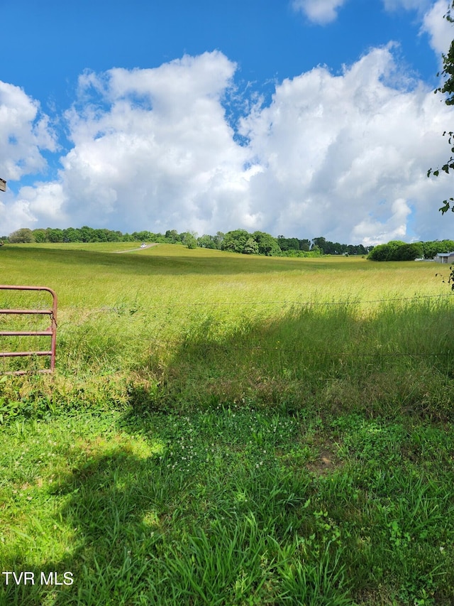 7083 Saint Clair Rd, Whitesburg, TN 37891 - view of yard featuring a view of rural / pastoral area