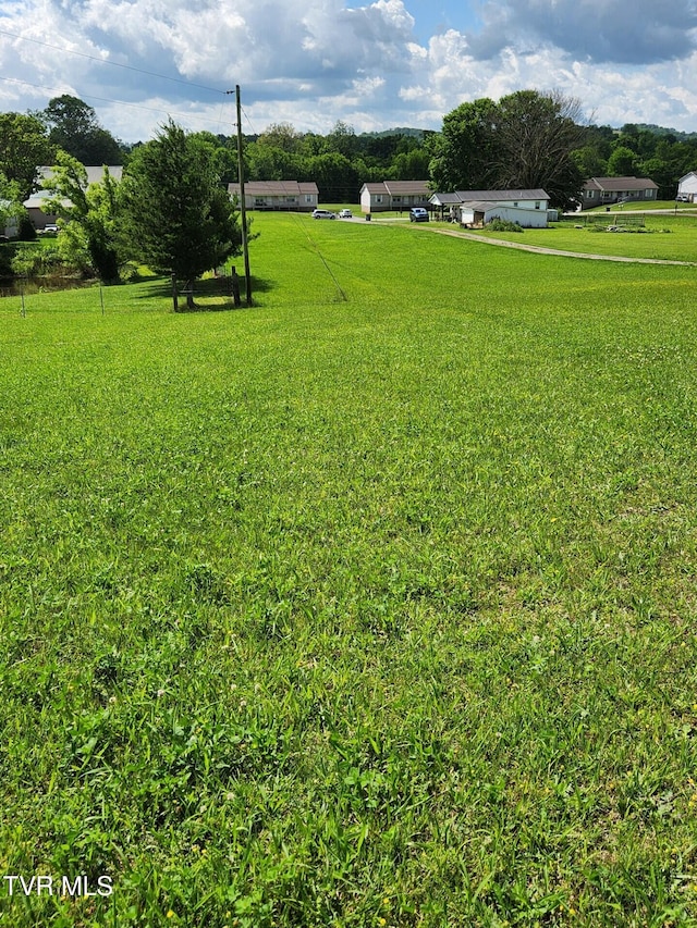 7083 Saint Clair Rd, Whitesburg, TN 37891 - view of green lawn