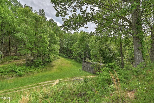 1929/1993 Bulldog Rd, Trade, TN 37691 - photo 27