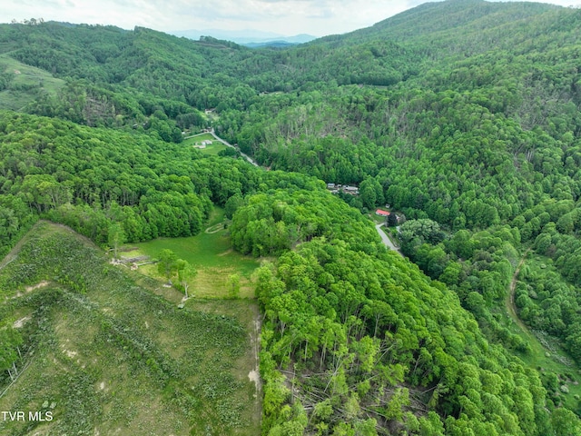 1929/1993 Bulldog Rd, Trade, TN 37691 - photo 33