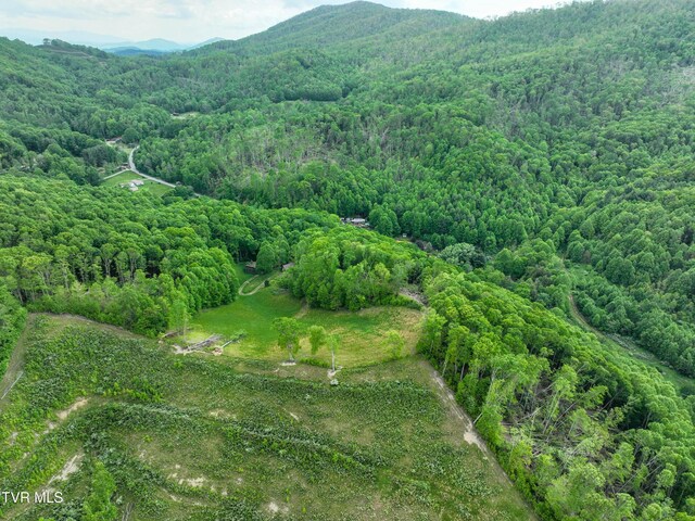 1929/1993 Bulldog Rd, Trade, TN 37691 - photo 34