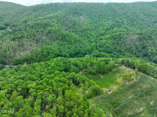 1929/1993 Bulldog Rd, Trade, TN 37691 - photo 35
