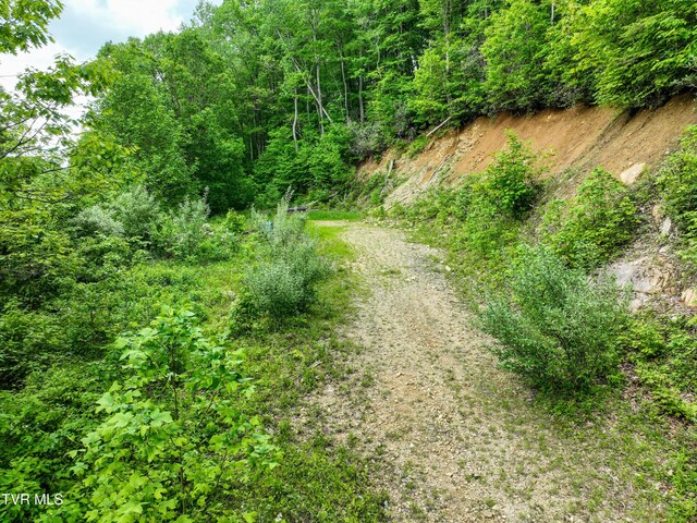1929/1993 Bulldog Rd, Trade, TN 37691 - photo 44