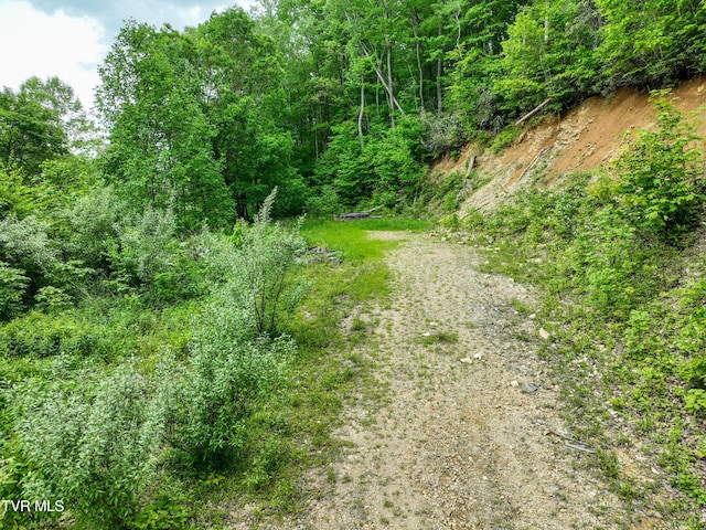 1929/1993 Bulldog Rd, Trade, TN 37691 - photo 45