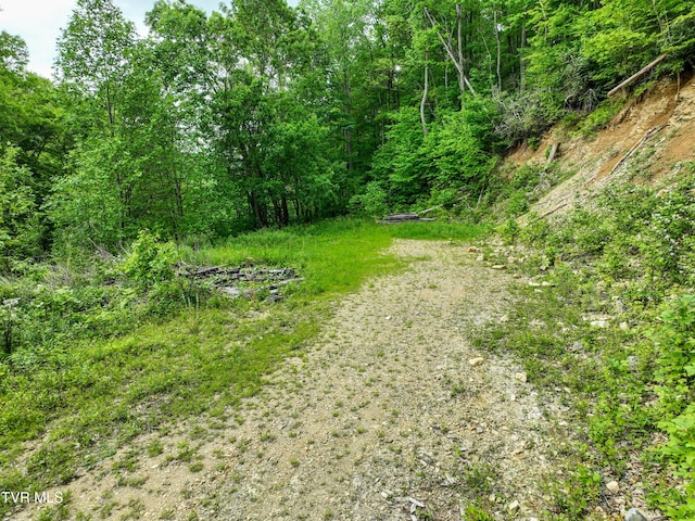 1929/1993 Bulldog Rd, Trade, TN 37691 - photo 46