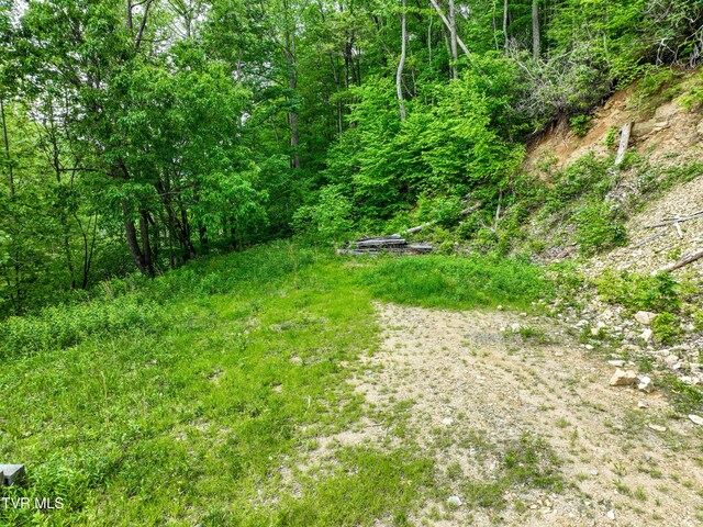 1929/1993 Bulldog Rd, Trade, TN 37691 - photo 47