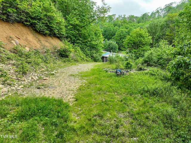 1929/1993 Bulldog Rd, Trade, TN 37691 - photo 48