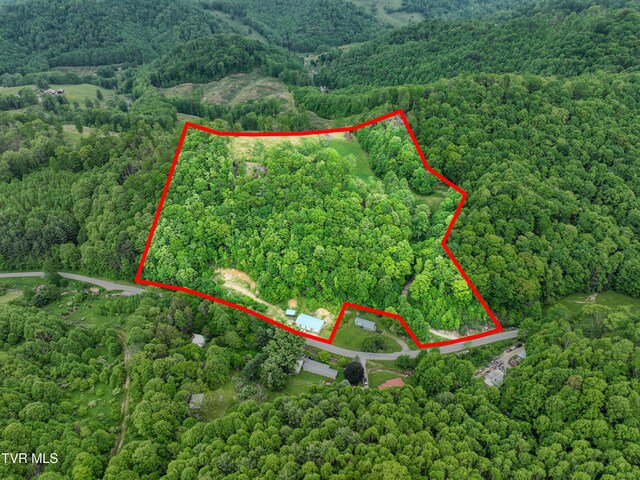 1929/1993 Bulldog Rd, Trade, TN 37691 - photo 2