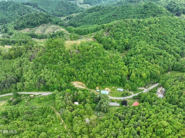 1929/1993 Bulldog Rd, Trade, TN 37691 - photo 50