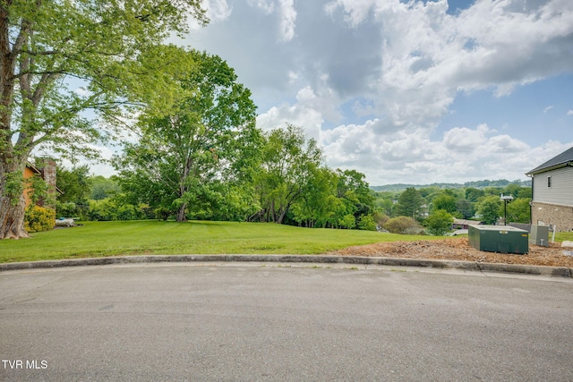 1 Sweetwood Dr, Johnson City, TN 37615 - view of grassy yard featuring view of scattered trees