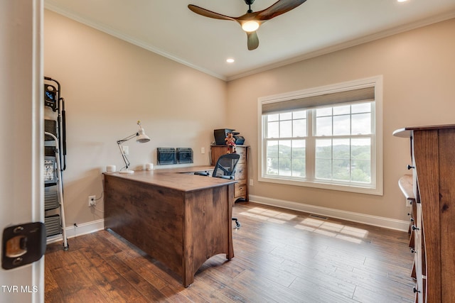 1 Sweetwood Dr, Johnson City, TN 37615 - office space featuring ceiling fan, ornamental molding, baseboards, wood finished floors, and recessed lighting