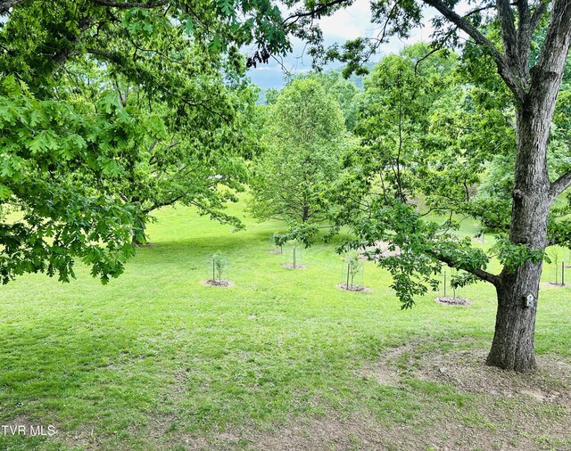 408 Glade Hill Dr, Lebanon, VA 24266 - photo 26