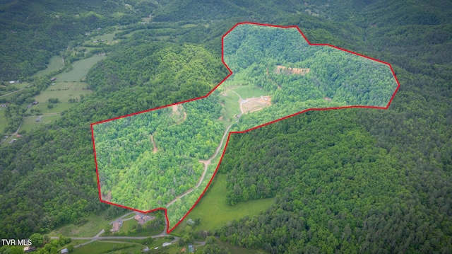 538 Punkton Rd, Del Rio, TN 37727 - map / location with property boundaries highlighted