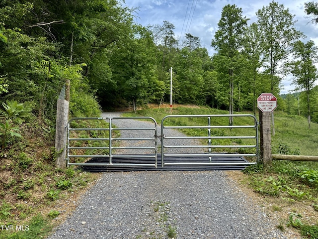 538 Punkton Rd, Del Rio, TN 37727 - gate with a wooded view