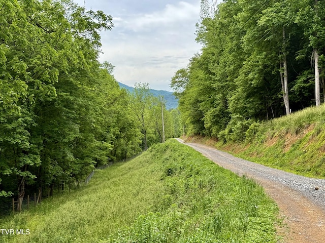 538 Punkton Rd, Del Rio, TN 37727 - view of dirt / gravel road with a wooded view and a mountain view