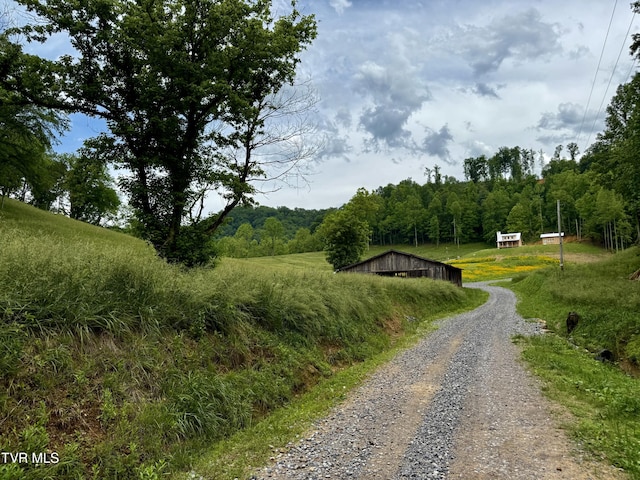 538 Punkton Rd, Del Rio, TN 37727 - view of dirt / gravel road featuring a view of trees
