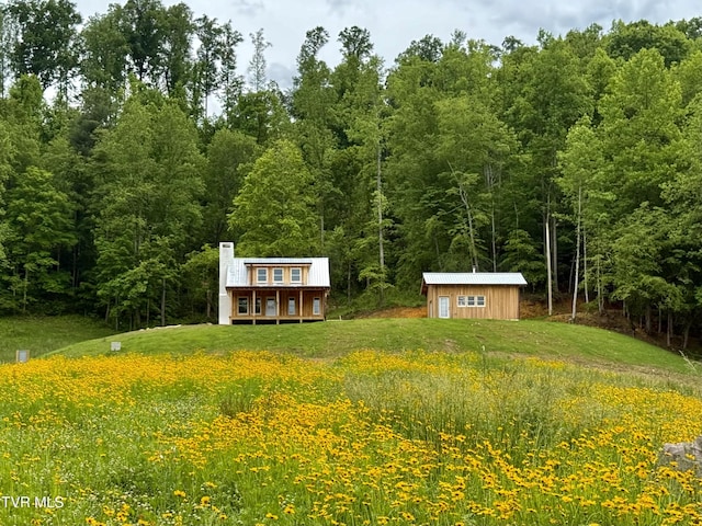 538 Punkton Rd, Del Rio, TN 37727 - view of grassy yard with an outbuilding and a view of trees