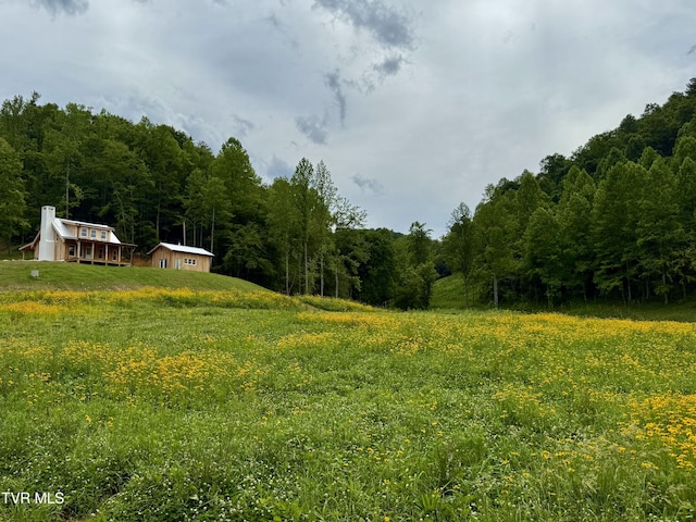 538 Punkton Rd, Del Rio, TN 37727 - view of yard with a view of trees