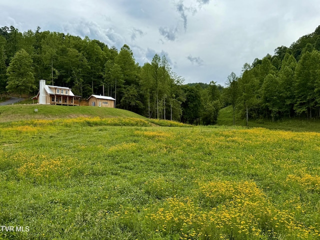 538 Punkton Rd, Del Rio, TN 37727 - view of yard with a view of trees and an outbuilding