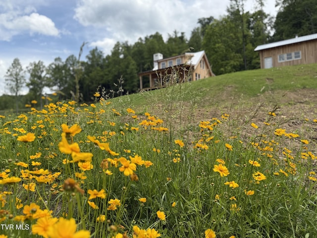 538 Punkton Rd, Del Rio, TN 37727 - view of yard featuring a garage