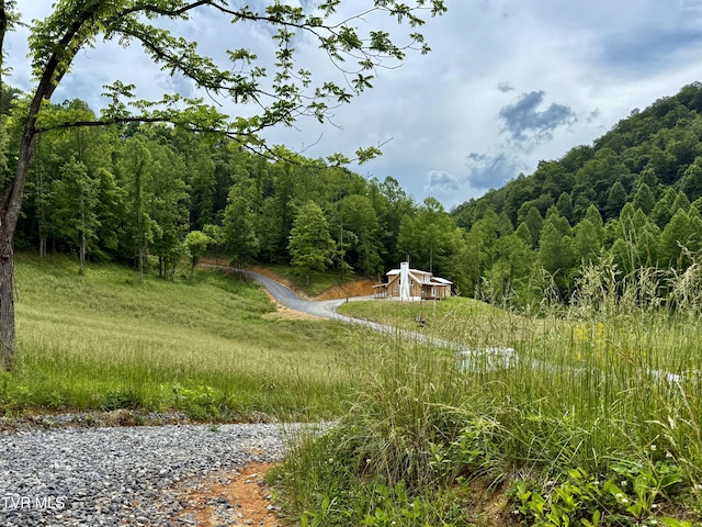 538 Punkton Rd, Del Rio, TN 37727 - view of community with a view of trees