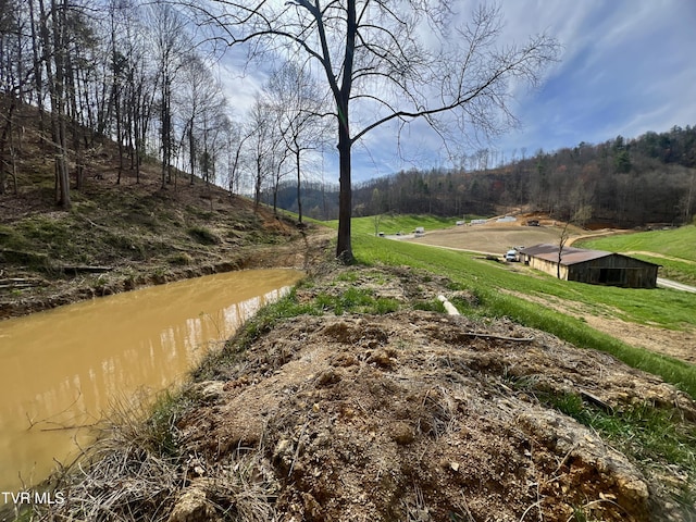 538 Punkton Rd, Del Rio, TN 37727 - view of street