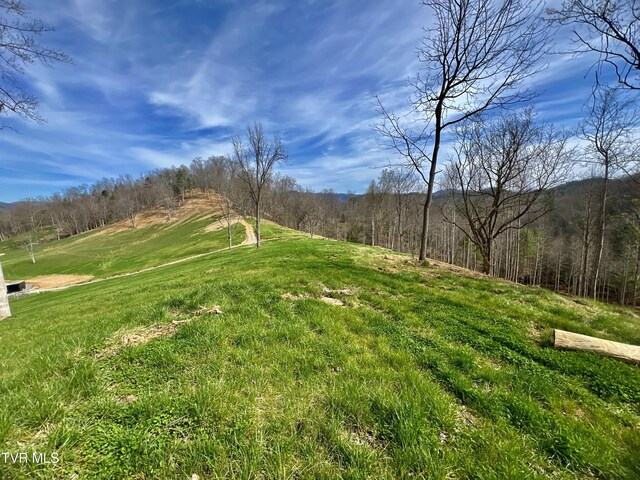 538 Punkton Rd, Del Rio, TN 37727 - view of green lawn