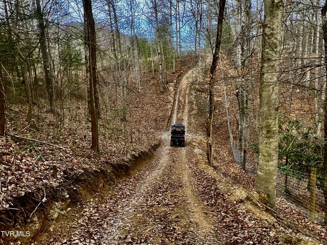 538 Punkton Rd, Del Rio, TN 37727 - view of road