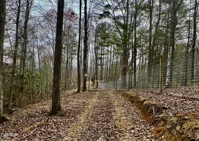 538 Punkton Rd, Del Rio, TN 37727 - view of wooded area