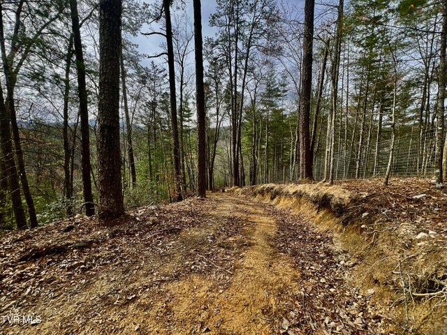 538 Punkton Rd, Del Rio, TN 37727 - view of wooded area
