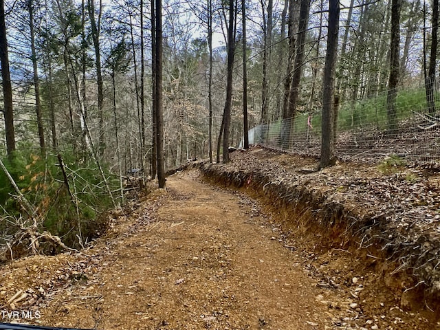 538 Punkton Rd, Del Rio, TN 37727 - view of tree filled area