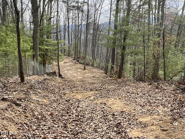 538 Punkton Rd, Del Rio, TN 37727 - view of woods