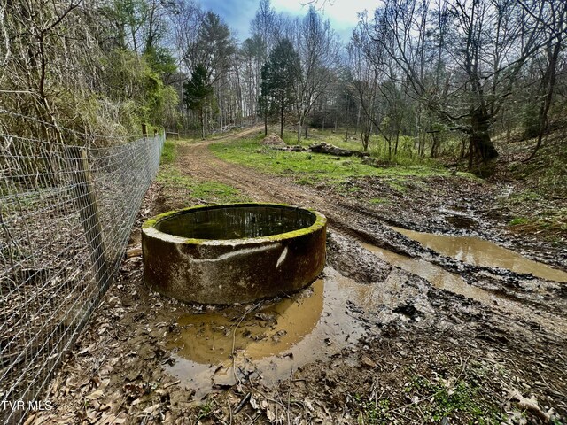 538 Punkton Rd, Del Rio, TN 37727 - view of yard