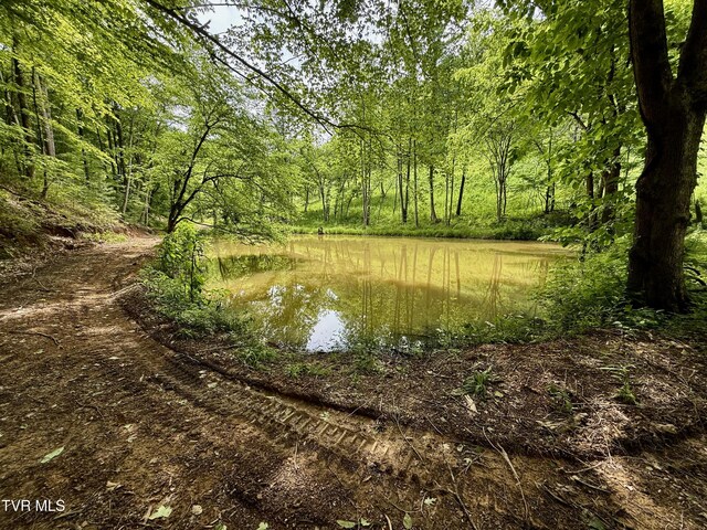 538 Punkton Rd, Del Rio, TN 37727 - water view with a forest