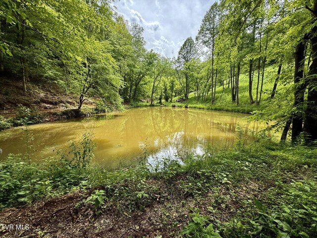 538 Punkton Rd, Del Rio, TN 37727 - water view with a forest
