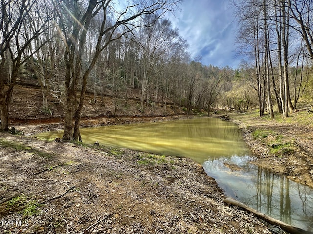 538 Punkton Rd, Del Rio, TN 37727 - water view featuring a forest